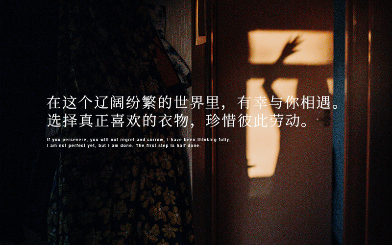 Luxi 2022 New Design sense stand-up collar short Down jacket for petite women 90, white duck down jacket Y33 pic 2