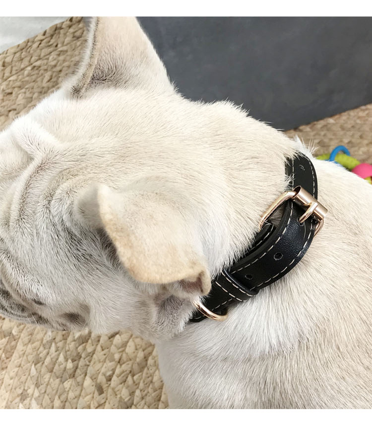 Fatou golden hair teddy collar de perro pequeño y mediano collar de cuello de PU lindo collar de cuello de mascota ajustable collar de gato pic 15
