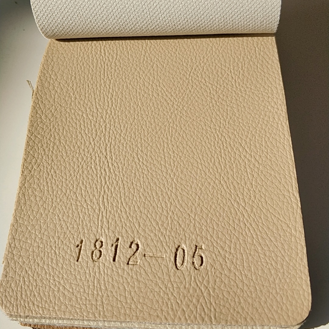 B612Kaji_20190122_104347_593