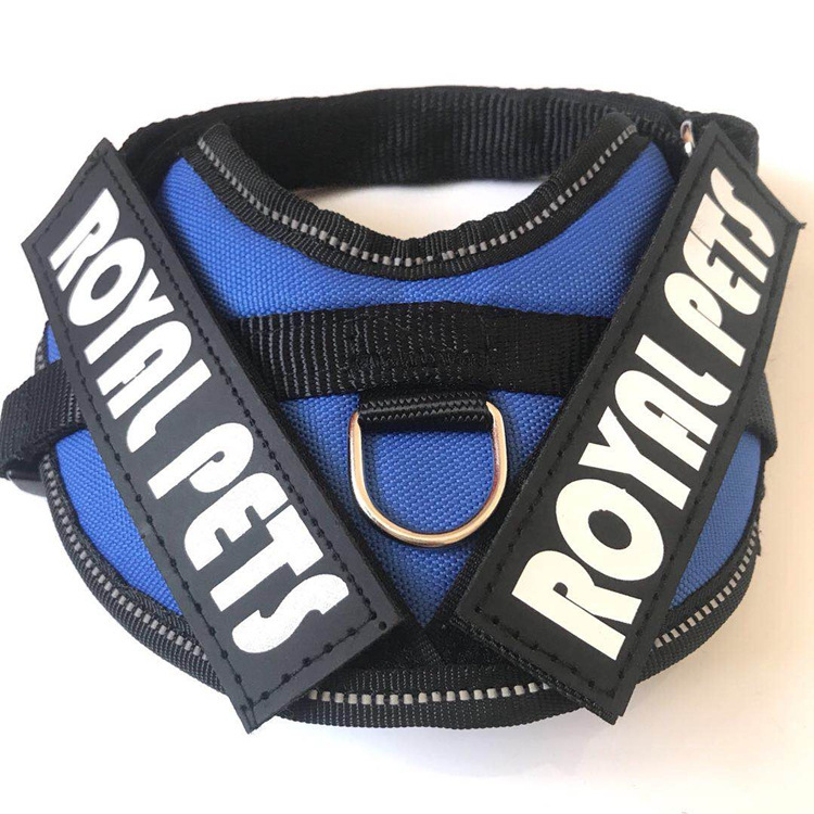 The manufacturer supplies cat and dog pet chest and back straps, leashes, pet dog chains, dog supplies and cat supplies pic 7