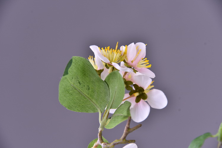 Wholesale of artificial flowers from the original factory, including artificial pear blossoms, cherry blossoms, duckweed flowers, model rooms, living rooms and hotel decorations pic 19