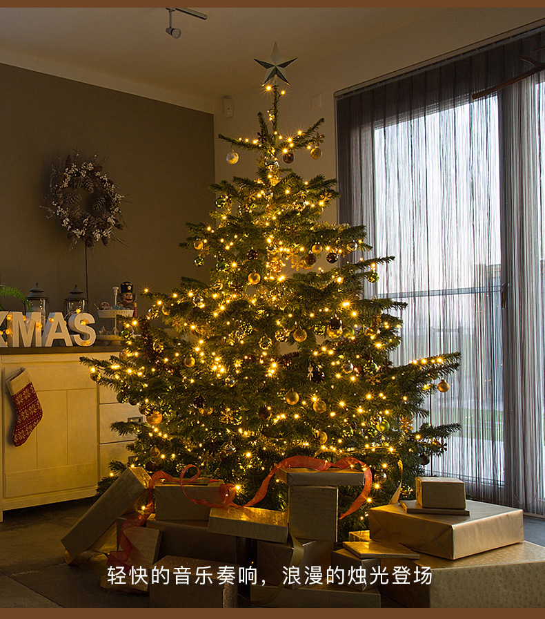 Remote-controlled Christmas tree, green wire LED copper wire light, star color light, string light, starry sky, courtyard green plant, rattan flower wreath light pic 22