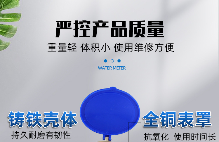 插入式水表_04.jpg