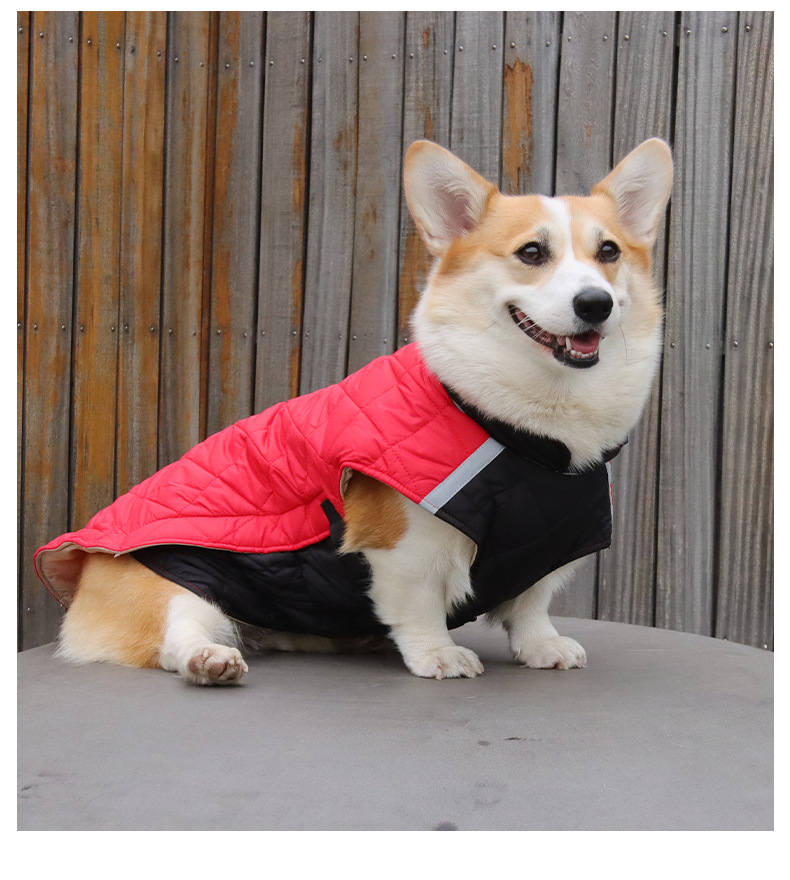New pet clothing for autumn and winter, reflective and warm pet cotton-padded clothes, thickened dog clothes, pet supplies wholesale 689 pic 13