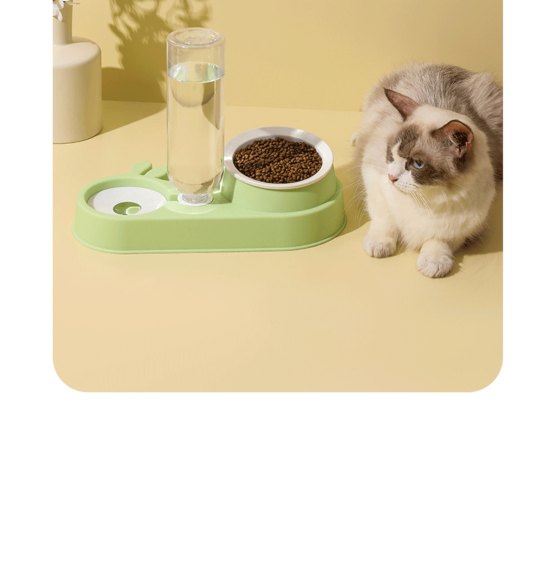 陶瓷猫碗狗碗防打翻自动喂食器批发宠物碗饮水器宠物狗盆一件代发详情11