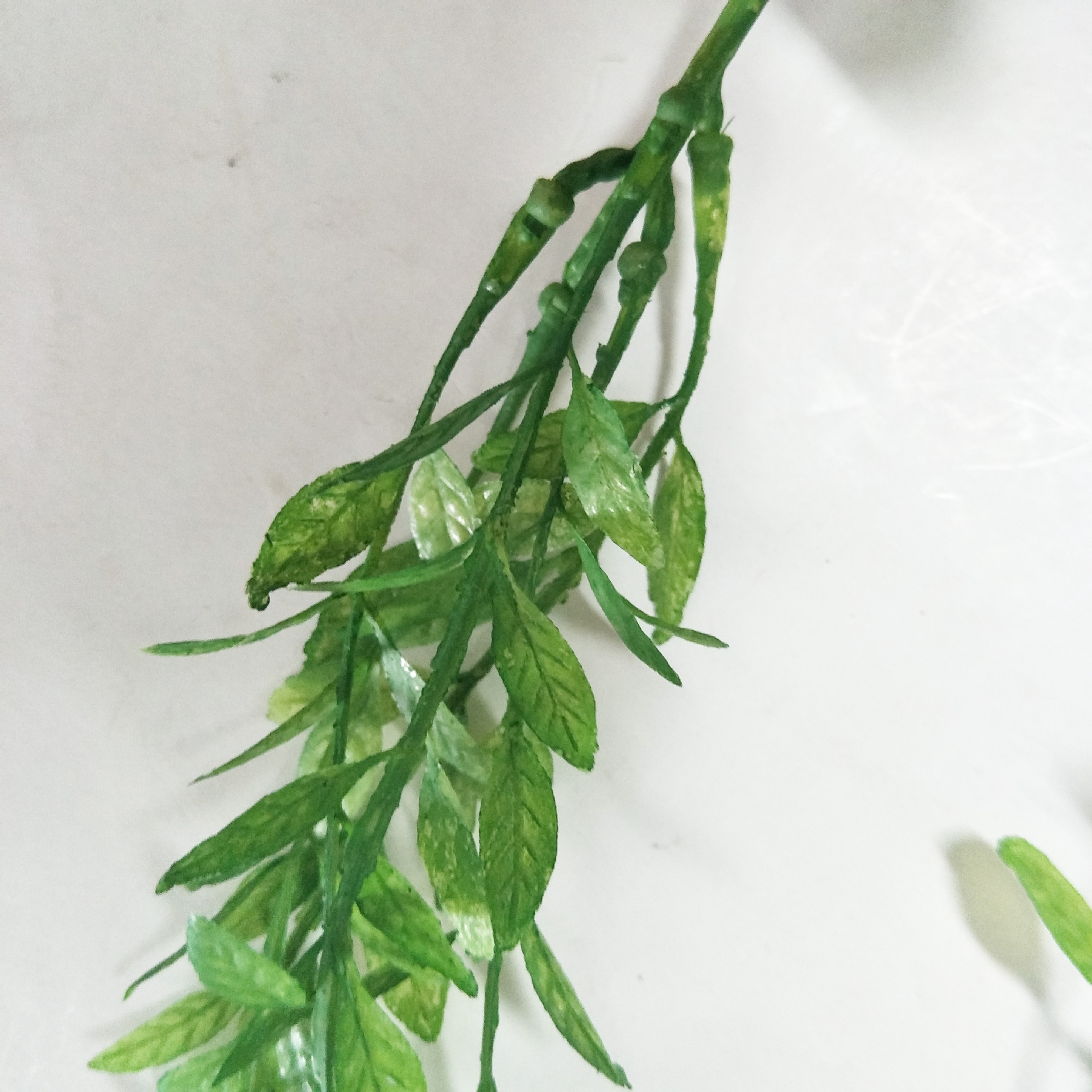 Artificial flowers, artificial lawns, artificial trees, artificial flowers, artificial lawns, artificial trees, plant wall accessories, artificial prayer beads, artificial dragon whiskers, plant wall decoration, real photos of artificial grass, willow leaves across the river, artificial flowers, artificial lawns, artificial trees pic 13