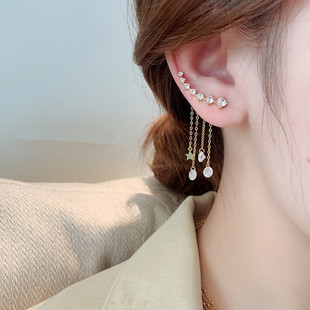 Zircon leaf earrings, long and elegant, versatile earrings S925, exquisite earrings design sense, beautiful stud earrings for women B460 pic 1