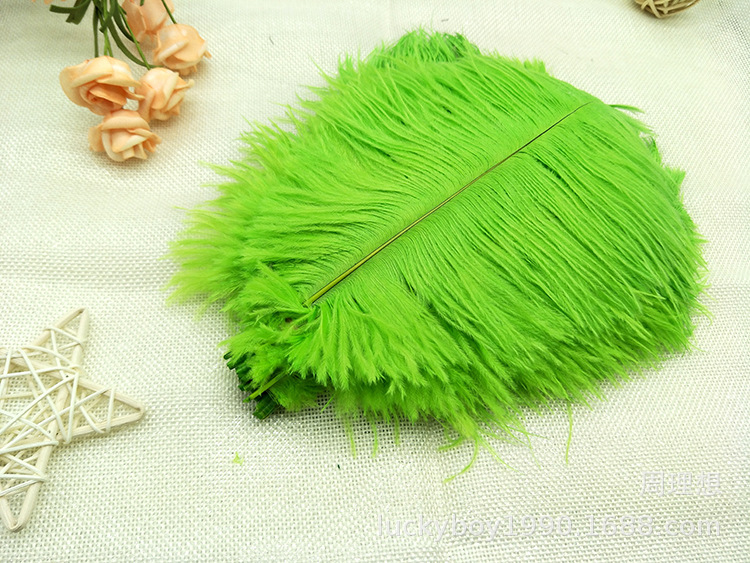 Colorful ostrich feathers 15-20cm, mask feathers, DIY accessories, wedding decoration props, ear-picking accessories, colorful feathers pic 49