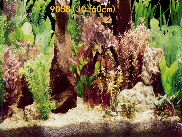 Wholesale production of 60cm high single-sided thin paintings, various ecological aquarium background paintings. Craft paintings. Aquarium equipment pic 66