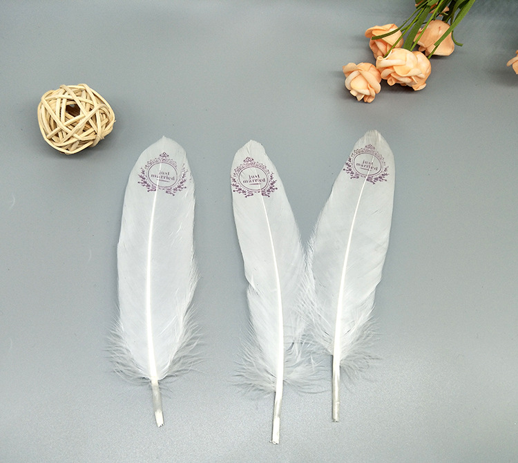 A large quill feather gift box with all-gold and all-silver feathers, paper card bookmarks and decorative quill pens pic 68