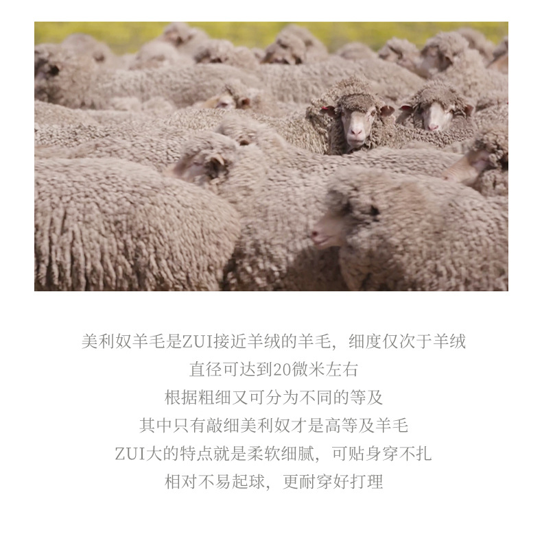 100%羊毛冬季无缝修身显瘦高领休闲百搭打底针织衫长袖内搭毛衣女详情8