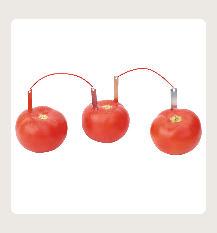 自制水果电池小学生diy科技小制作 锌铜片发电物理实验器材材料包详情8