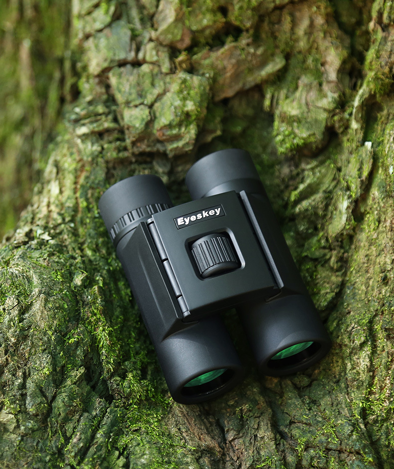 Aiski binoculars High-power high-definition portable low-light night vision nitrogen-filled waterproof outdoor concert reading glasses pic 17