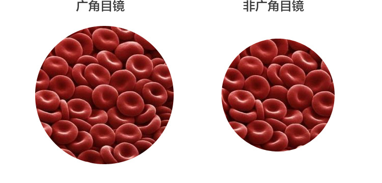 Professional laboratory all-metal student home microscope teaching 1600x magnification of livestock microorganisms pic 9