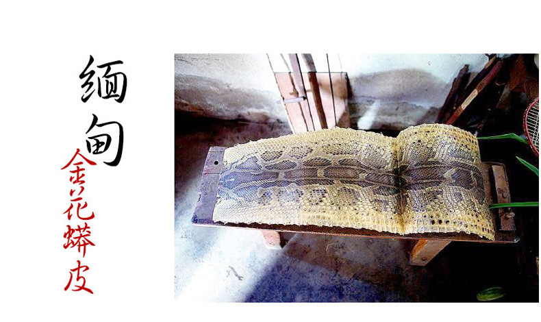 苏州二胡 官方正品初学者入门专业胡琴成人儿童民族乐器 灵岩二胡详情13