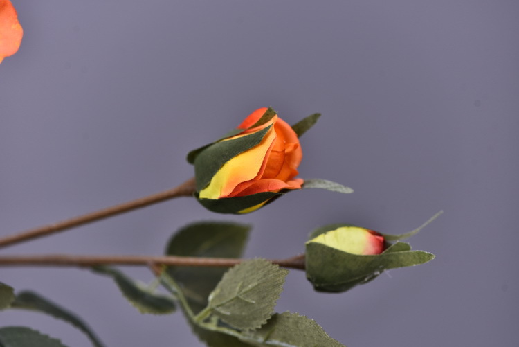 5 pieces of retro charred edge rose artificial flower decoration, artificial flower imitation dried flower, home soft decoration withered and dry, wedding Lanjin artificial rose wholesale pic 57