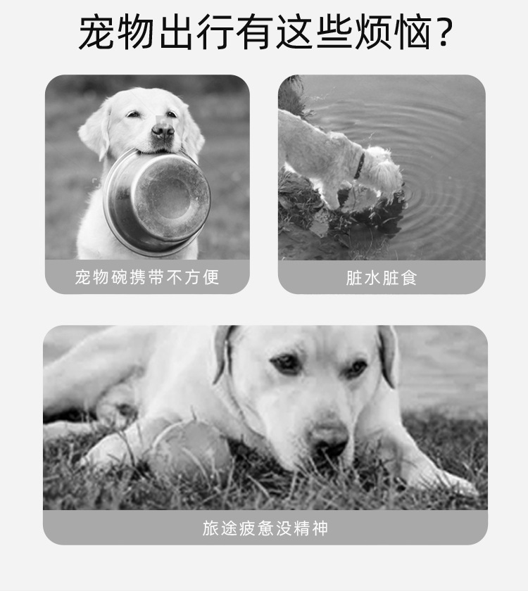 Outdoor lighting tableware for pets, folding and hanging dog drinking cups, camping with light feeders pic 3