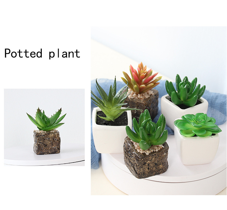 Factory wholesale mini artificial succulent plant potted plants, online store shooting props, desktop office decoration ornaments, artificial potted plants pic 14