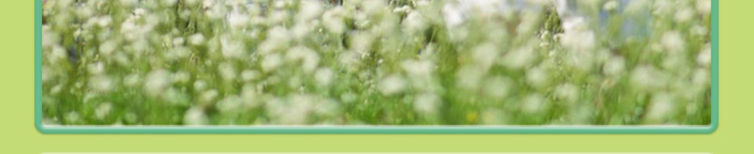 儿童飞盘软飞碟安全亲子互动室外运动玩具男女孩回旋镖软硅胶批发详情32