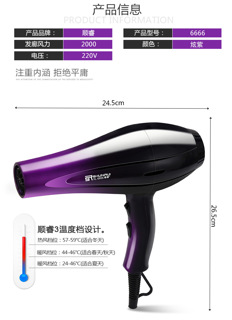 跨境台湾110V爆款网红锤子吹风机家用宿舍冷热风负离子电吹风批发详情26