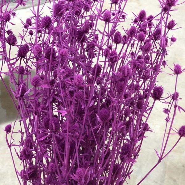 微信图片_20180626132024_副本