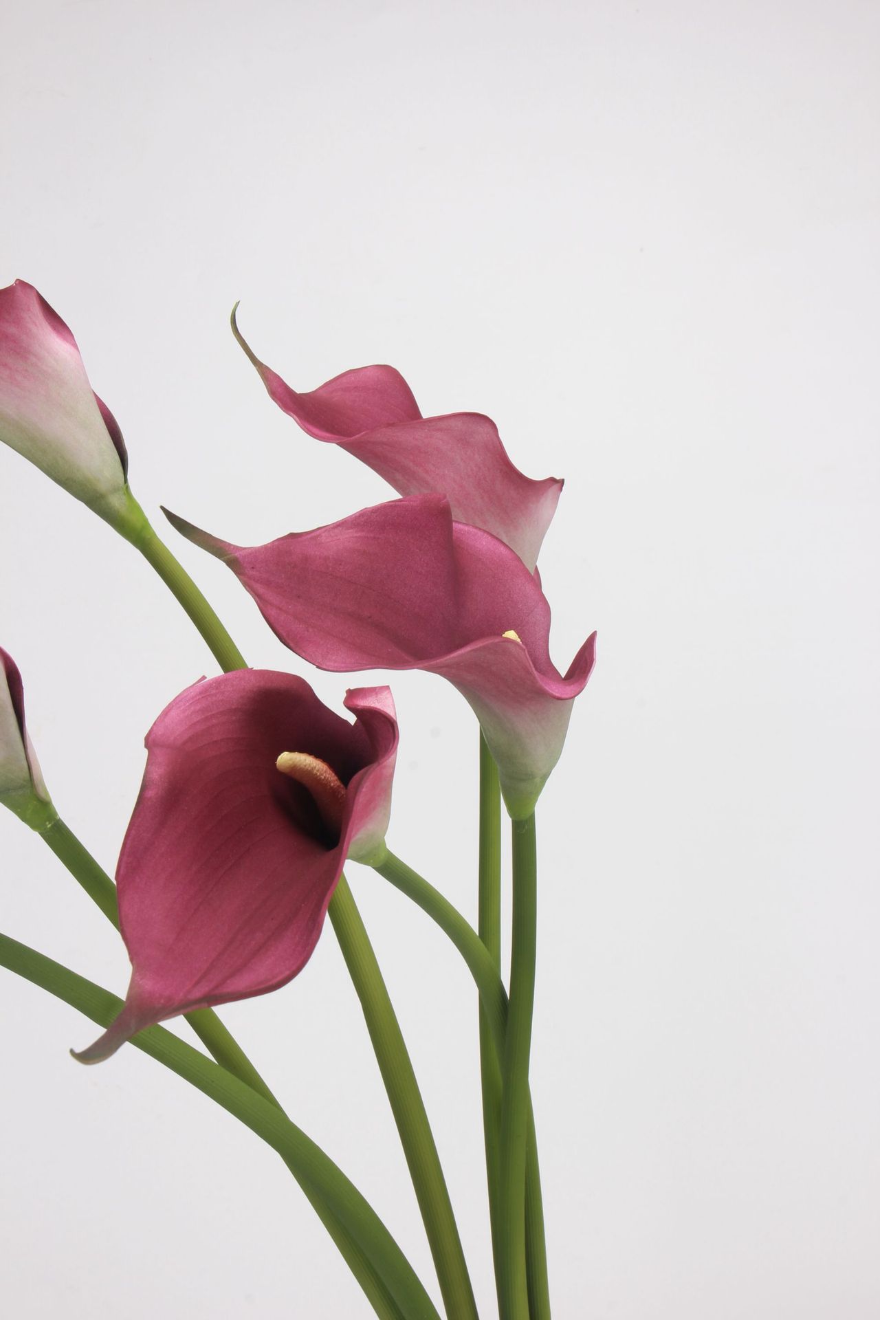 工厂直销 EVA马蹄莲仿真花海芋手感假花单枝婚庆家居插花配材道具详情49