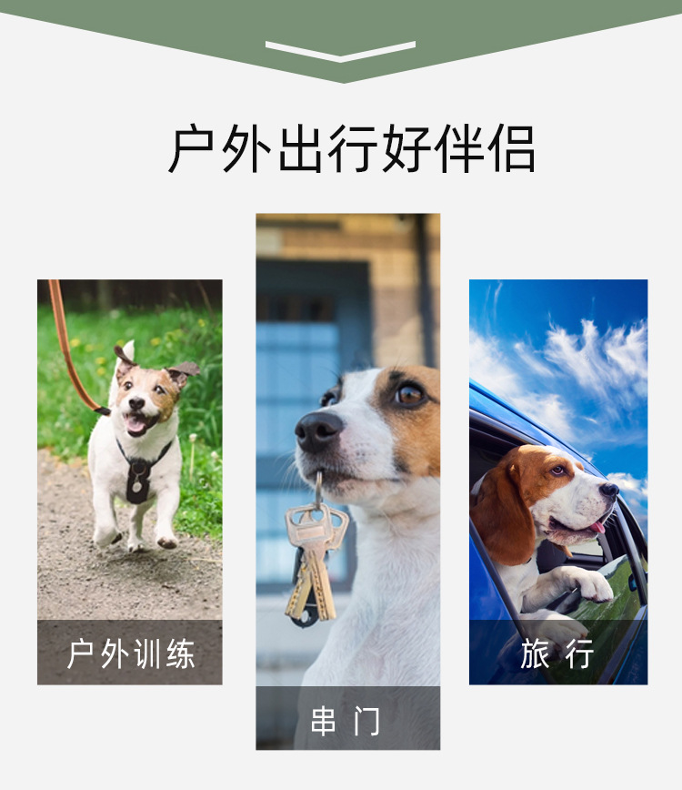 Small outdoor folding bowl, double-layer drinking and eating bowl, portable drinking bowl for going out, dog basin, pet food utensils, dog bowl pic 2