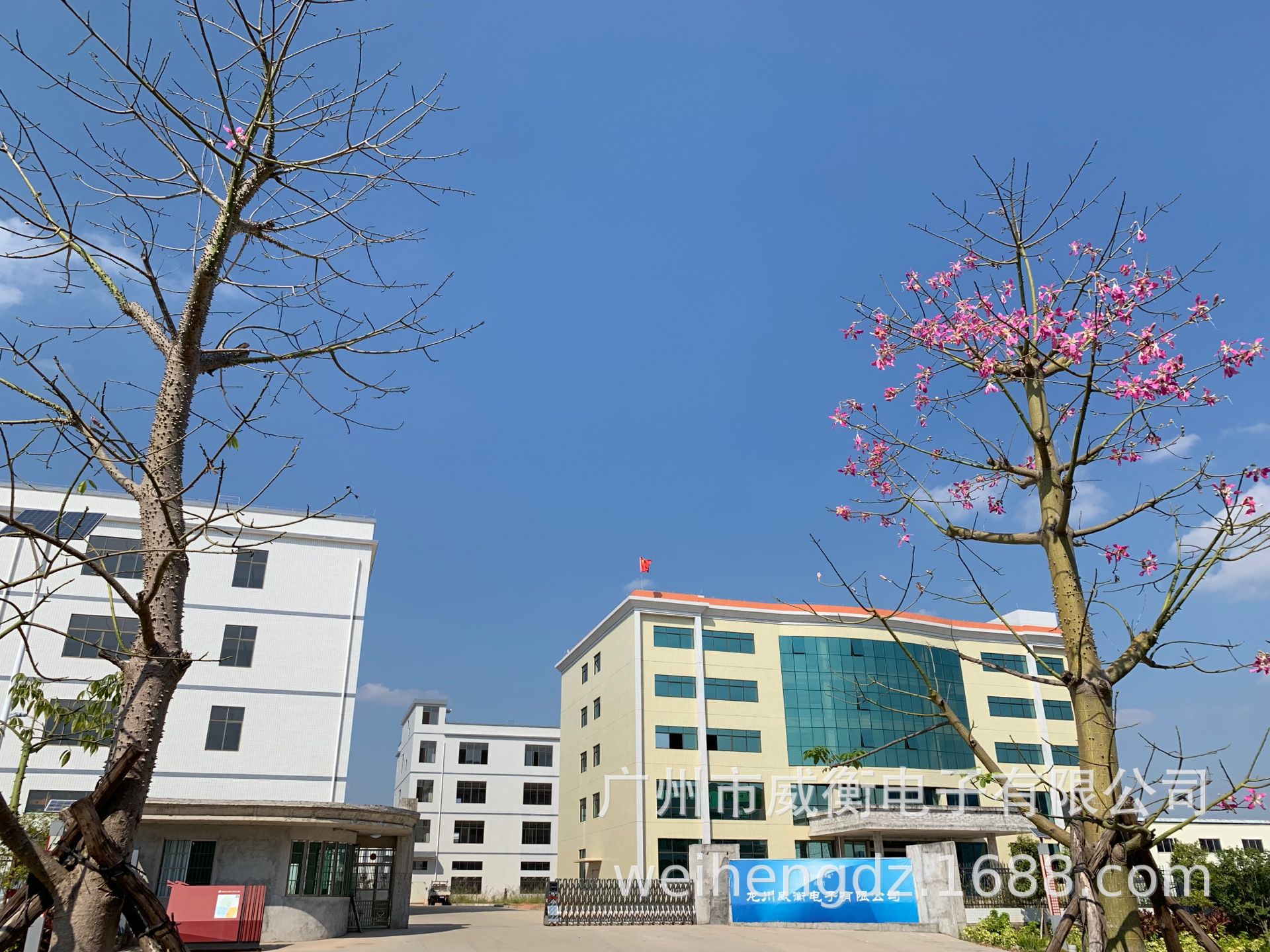 WeiHeng Keychain portable Scale WH-A21 mini Electronic Scale Mini electronic portable scale can weigh up to 25kg per jin pic 19