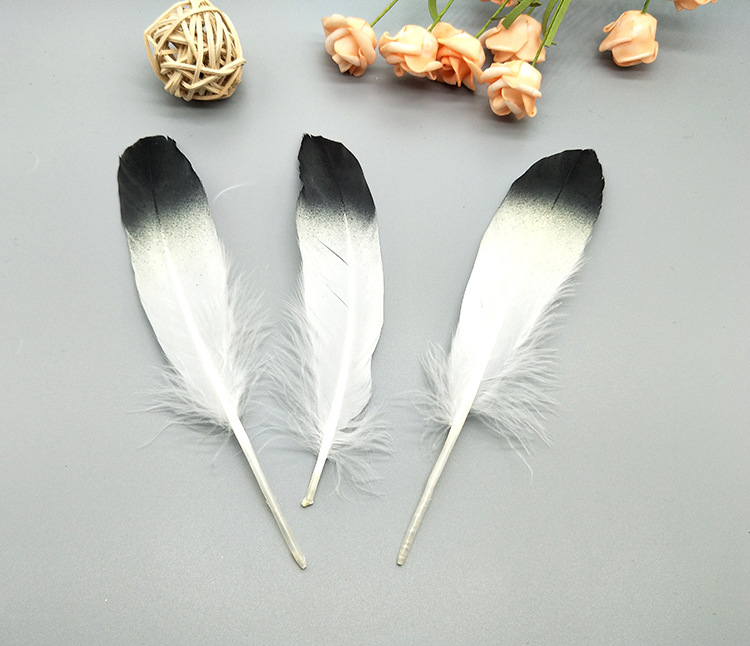 A large quill feather gift box with all-gold and all-silver feathers, paper card bookmarks and decorative quill pens pic 24