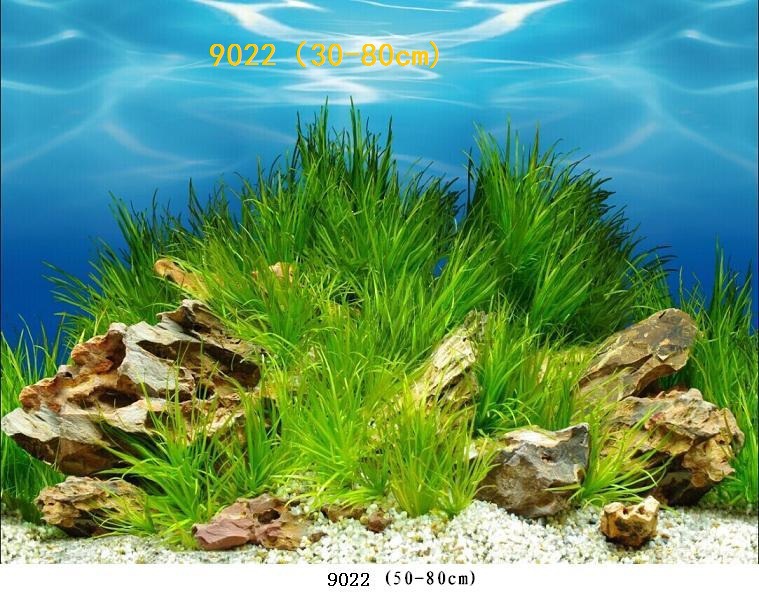 Wholesale production of 60cm high single-sided thin paintings, various ecological aquarium background paintings. Craft paintings. Aquarium equipment pic 44