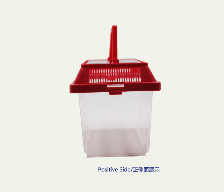 宝杰宠物盒小号手提塑料透明宠物笼乌龟饲养盒金鱼缸运输盒批发详情15