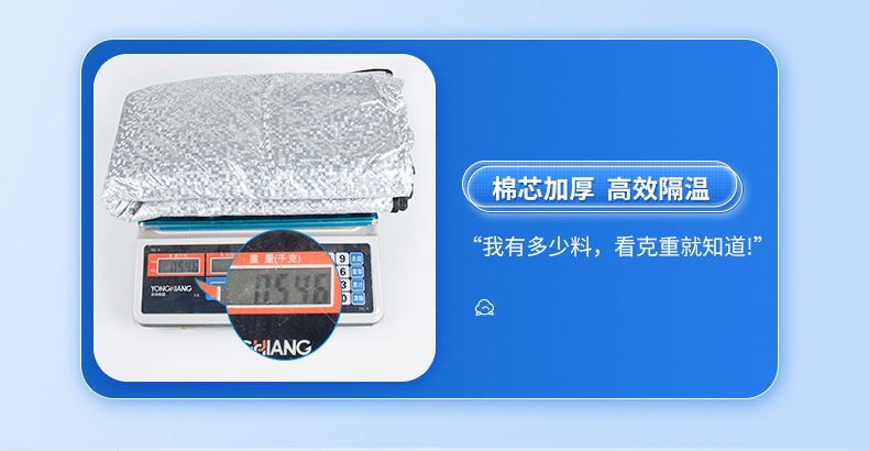 Car anti-freezing, snow cover, windproof car cover, front windshield frost shield, winter products bestsellers, sun visor pic 30