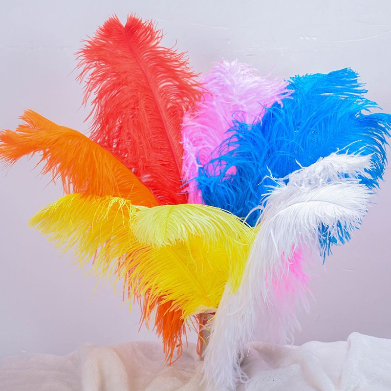 Colorful ostrich feathers 15-20cm, mask feathers, DIY accessories, wedding decoration props, ear-picking accessories, colorful feathers pic 34