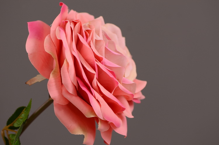 Dongli Flower Industry, the source factory, wholesals high-end artificial flowers, anti-real flowers, living room decoration, life-sized royal roses, and light luxury home floral art ornaments pic 12