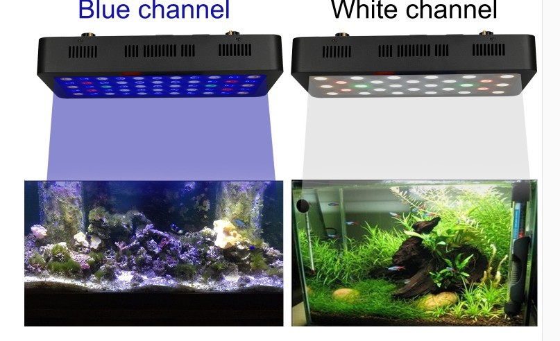 165W aquarium lamp, dimmable, Marine tank, coral aquatic plant lamp, fish tank lighting, full-spectrum Marine coral fish tank pic 10