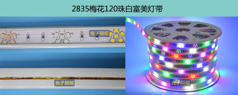 光子照明5050线性灯条5730 rgb柔性亮化贴片led 220v防水高压灯带详情49