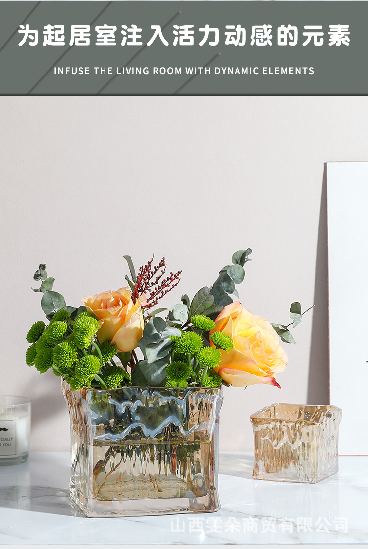 Wholesale glacier pattern square vases, modern and simple ins Spanish-style glass square vases, hydroponic ornaments pic 5