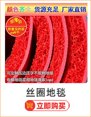 Wholesale of pvc plastic for the entrance door, elevator, hotel welcome, anti-slip wire rings, entrance floor MATS, carpets and foot MATS pic 5