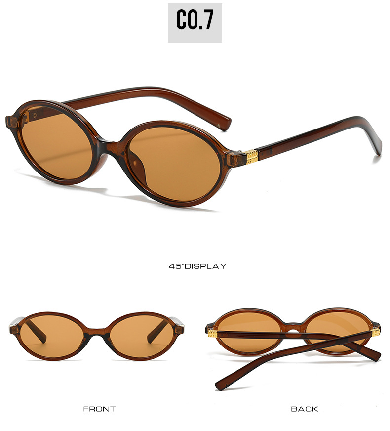 24爆款欧美时尚椭圆小框墨镜女高级感太阳镜女跨境批发sunglasses详情13