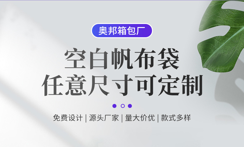 现货12安涤棉空白广告手提帆布袋购物包棉布袋定 制logo详情2
