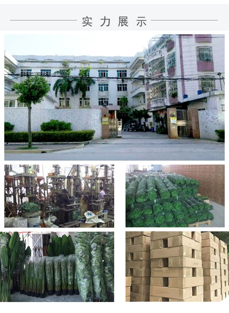 工厂现货多款 仿真绿植盆栽龟背竹棕榈树旅人蕉橄榄树假盆栽绿植详情8