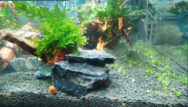 Fish tank aquarium water plant bottom sand, water plant cultivation sand, sintered black ceramic particle mud sand, water plant nutrient, water plant mud pic 7