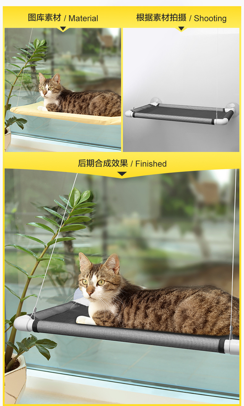 亚马逊宠物背带喂食器猫狗饮水机止吠器产品拍照摄影视频制作服务详情18