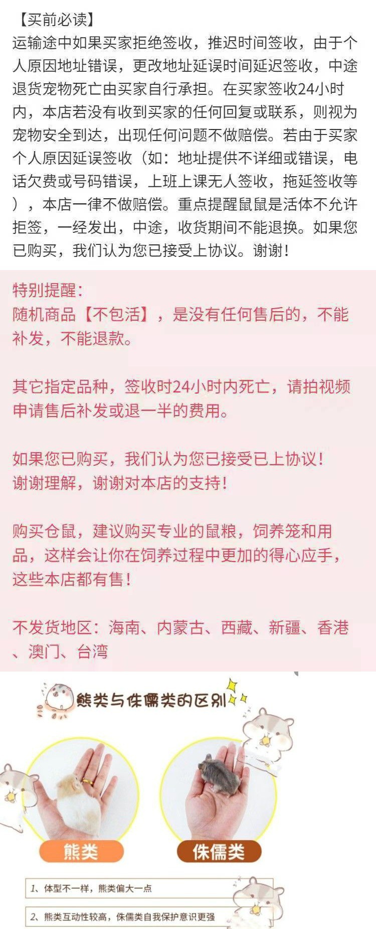 仓鼠批发小银狐布丁三线紫仓包活情侣幼崽一只金丝熊活体宝宝一对详情2