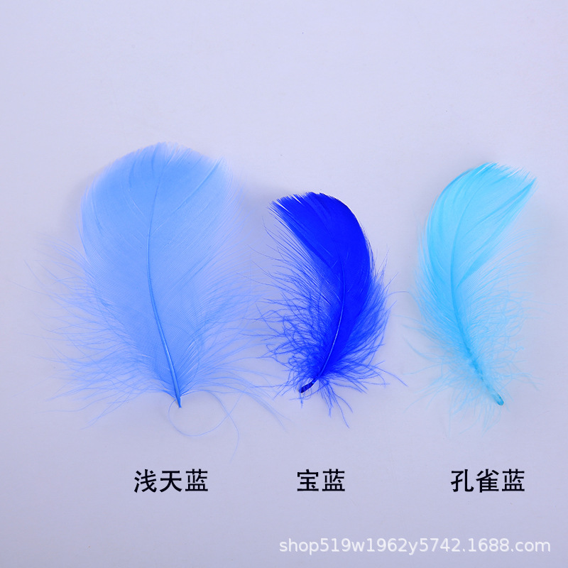 厂家直销优质天鹅毛 DIY彩色小飘羽毛 舞台服饰装饰辅料羽毛批发详情7