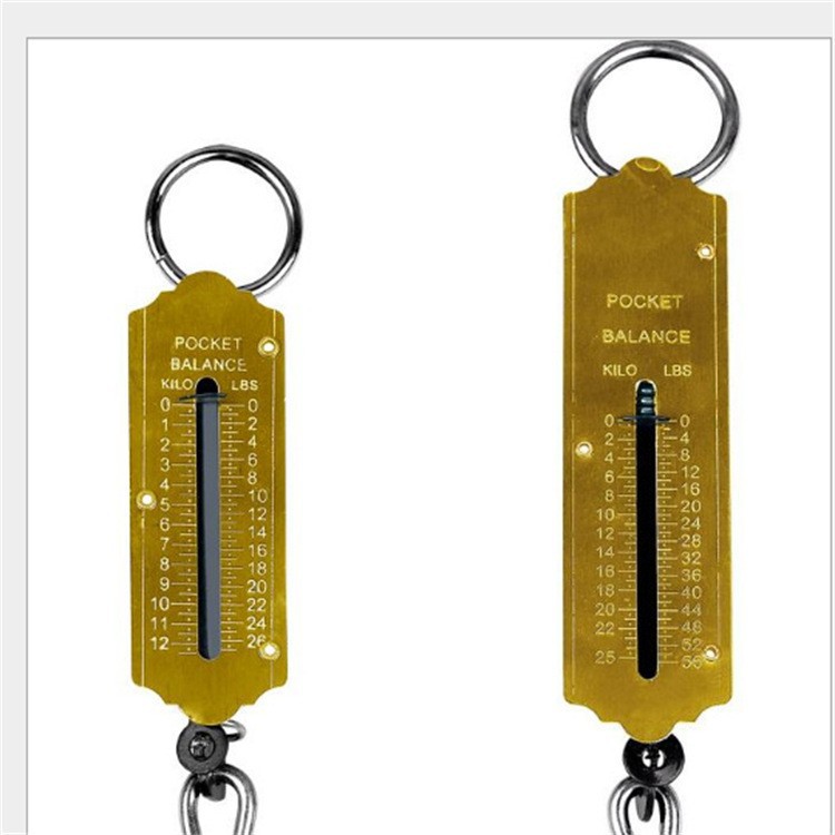 电子手提秤行李秤50kg钩子秤电子称钓鱼秤箱包旅游秤不锈钢手提秤详情6
