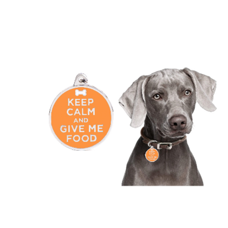 Cross-border new fashionable pet dog brand, metal dog collar, pet cat brand, anti-loss pet necklace, jewelry and accessories pic 6