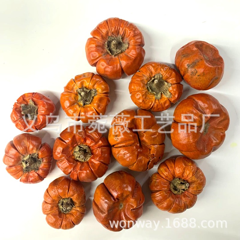 Natural plant dried fruits, small pumpkins, flower arrangements, handicrafts, soft furnishings, grass pic 1