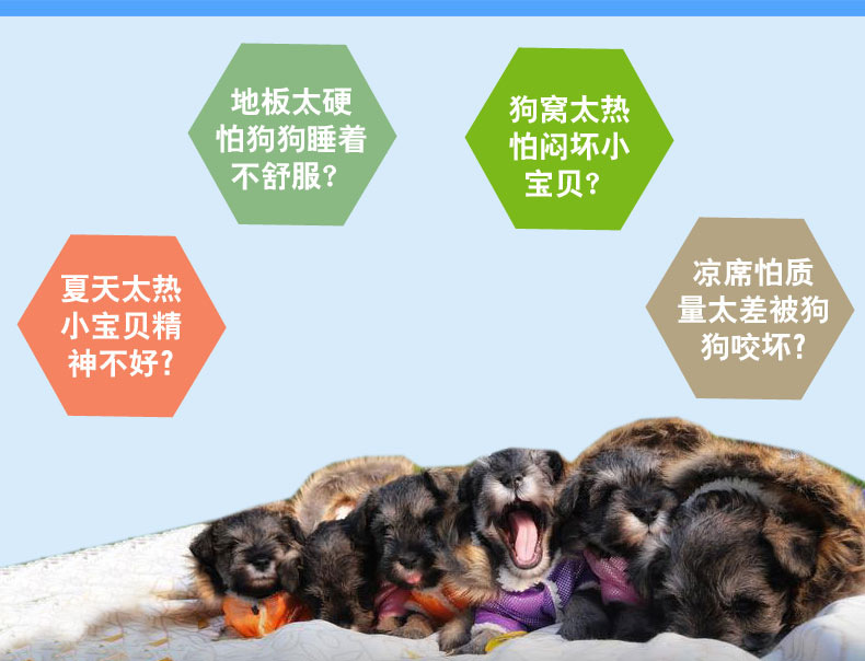 Factory direct sales of pet ice pads, teddy bed beds, cooling pads, pet ice pads and sponge pads pic 7