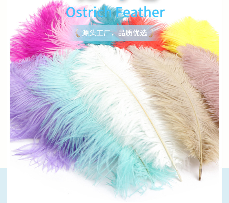 厂家现货鸵鸟毛30-35cm彩色羽毛婚礼装饰插花舞台服装婚庆指引详情10